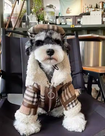 Dog wearing a plaid outfit sitting on a chair in an indoor setting.