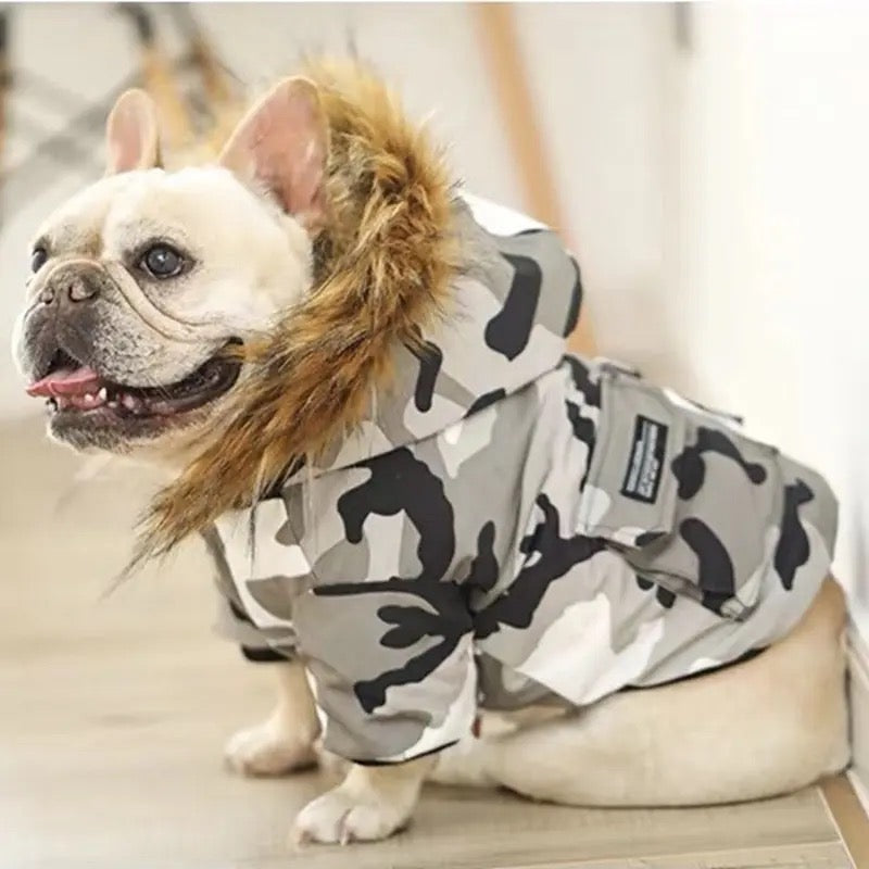 Dog wearing a camouflage raincoat indoors