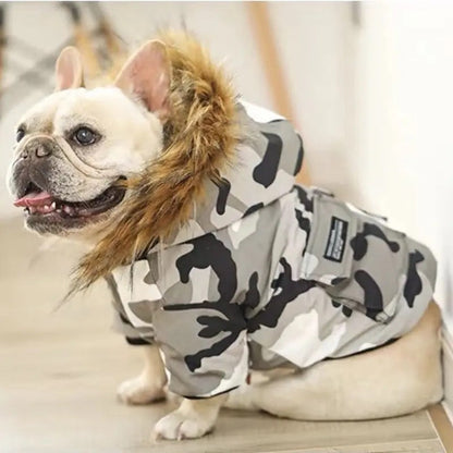 Dog wearing a camouflage raincoat indoors