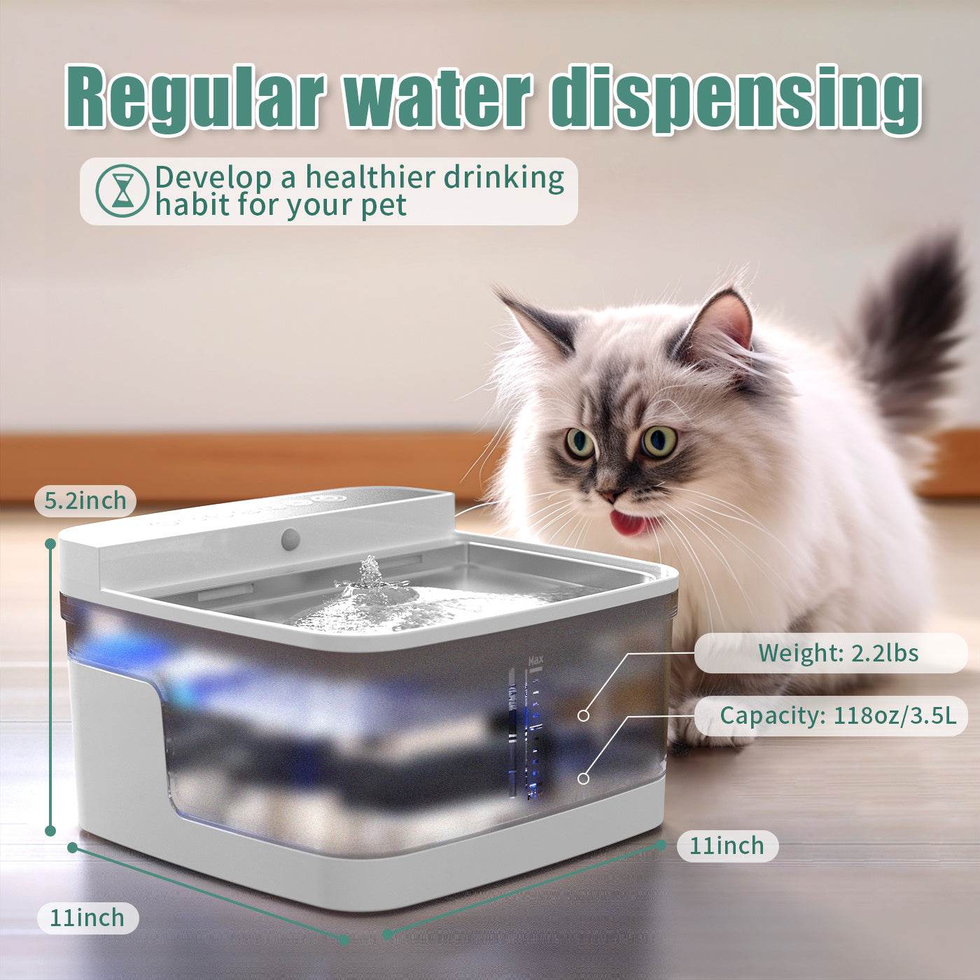 Pet water dispenser with a cat next to it, showing product details.