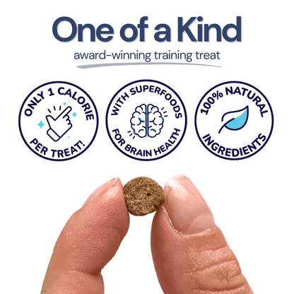 Salmon Mini Training Treats