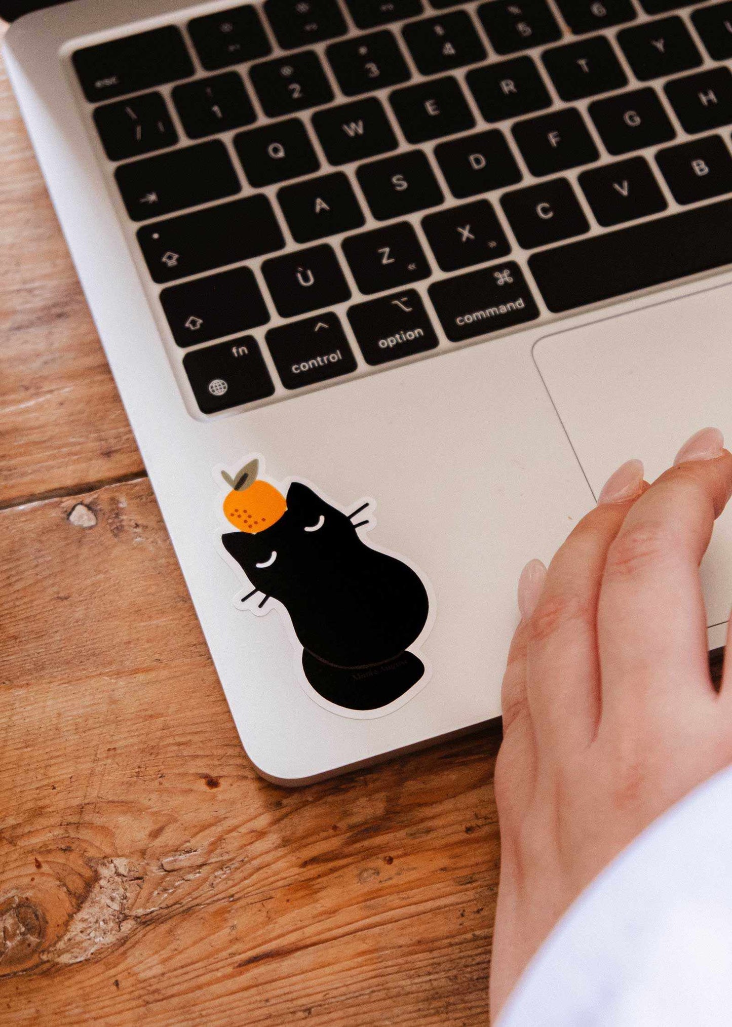 Clementine Cat - Vinyl Sticker