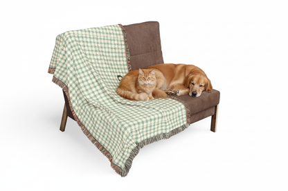 Couch with Dog and Cat