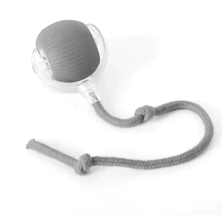 Self-Playing Rolling Ball for Dogs and Cats