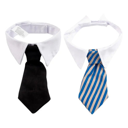 Dog Collar Tie / Cat Tie