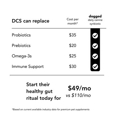 DCS: daily canine synbiotic