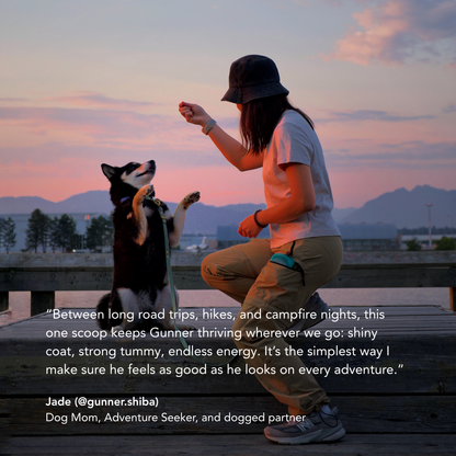 DCS: daily canine synbiotic