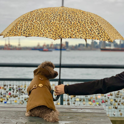 Person holding a leopard print umbrella over a dog wearing a brown coat by a waterfront with a city skyline.