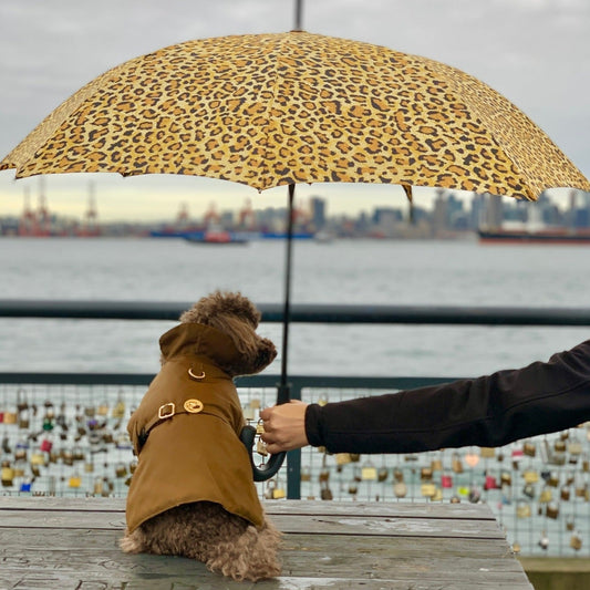Person holding a leopard print umbrella over a dog wearing a brown coat by a waterfront with a city skyline.