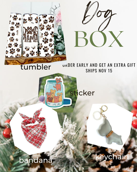 Christmas Gift Dog Box