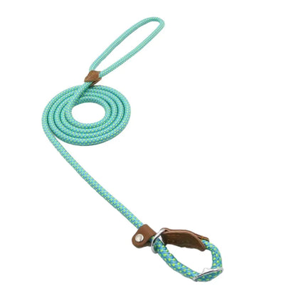 Collar and Leash Set