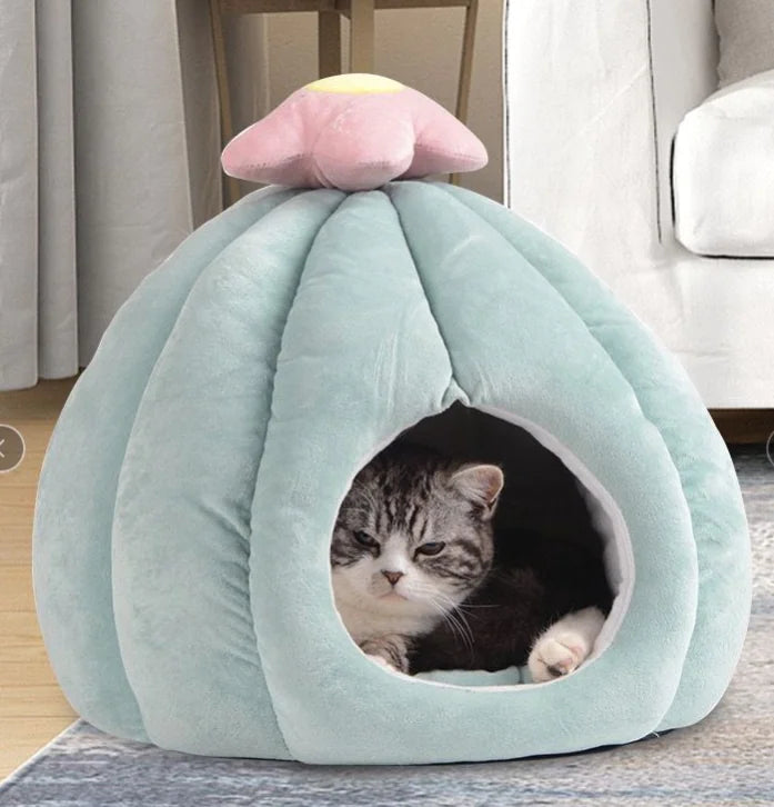 Grey and white cat inside a light green flower shaped bed