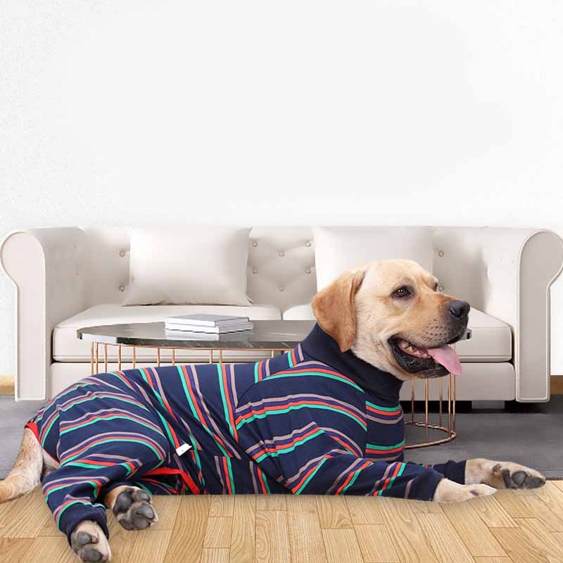 Dog wearing a striped pajama lying on the floor with a white sofa in the background