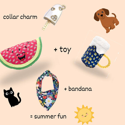 graphic of pet gift pack