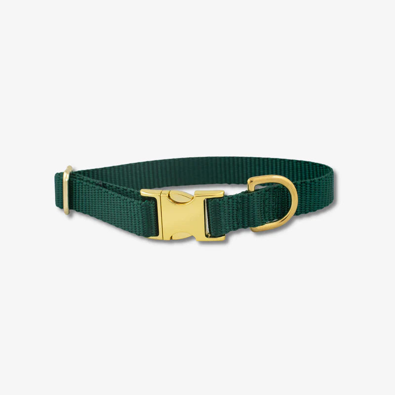 Green Nylon Dog Collar