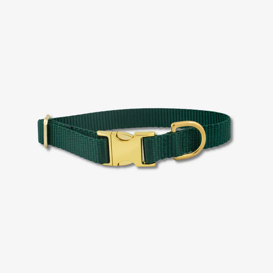 Green Nylon Dog Collar