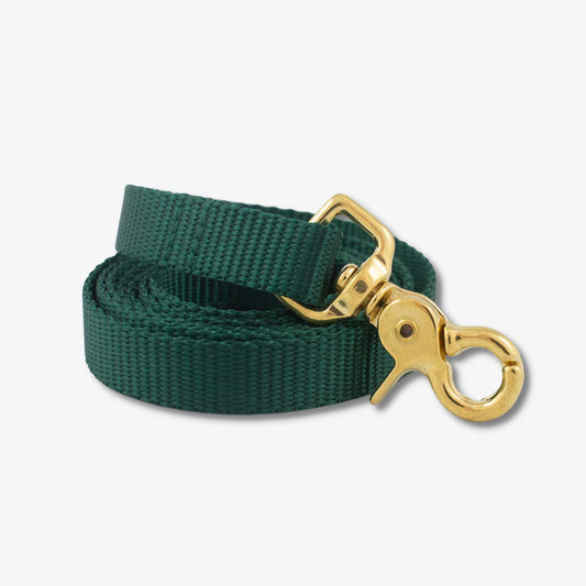 Green Nylon Leash for Dogs