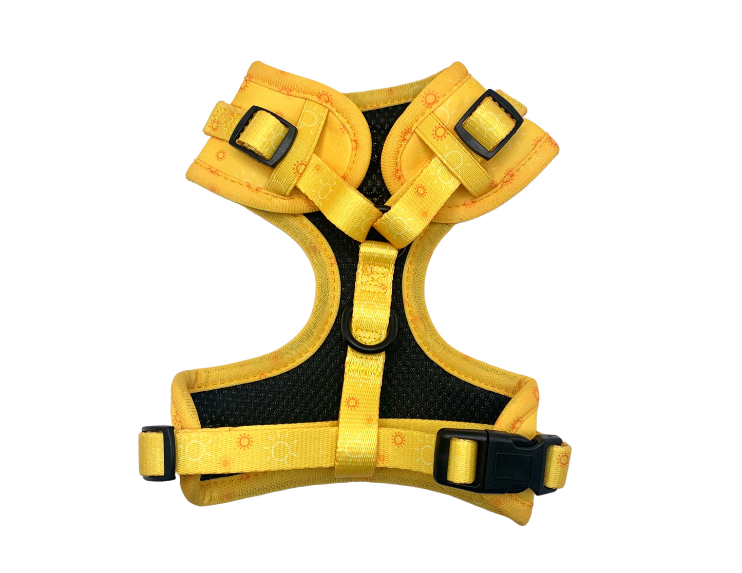 Harnais - Rayons de soleil