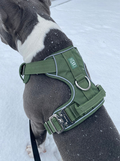 Heavy-Duty Everyday Harness - Cactus Green