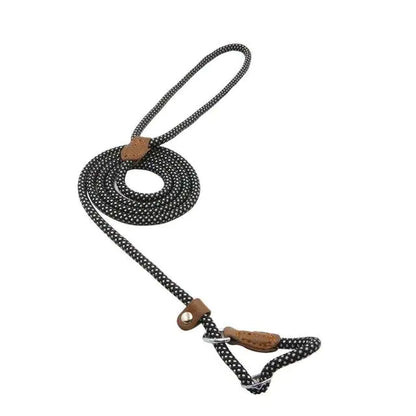 Collar and Leash Set