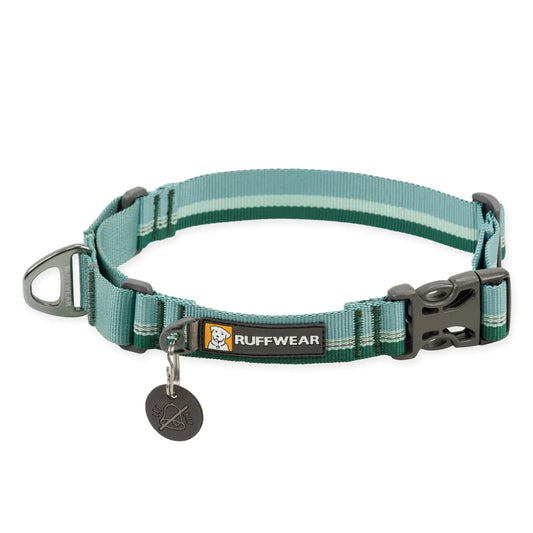 Ruffwear Web Reaction Dog Collar Martingale Collar for On-Leash Walking River Rock Green 23"-26"