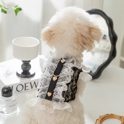 Small dog wearing a lace dress on a table with decorative items.