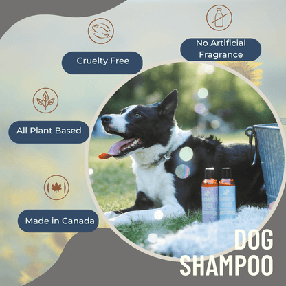 Dog Deodorizer shampoo– Pine & Fir