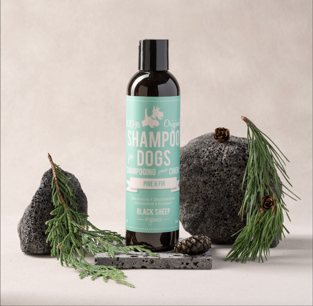 Dog Deodorizer shampoo– Pine & Fir