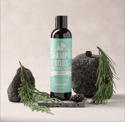 Dog Deodorizer shampoo– Pine & Fir