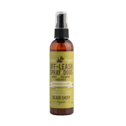 Anti-Itch Spray for Dogs – Gentle & Natural Relief