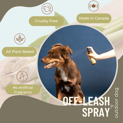 Anti-Itch Spray for Dogs – Gentle & Natural Relief