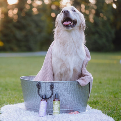 Natural Dog Shampoo - Lemongrass & Mint