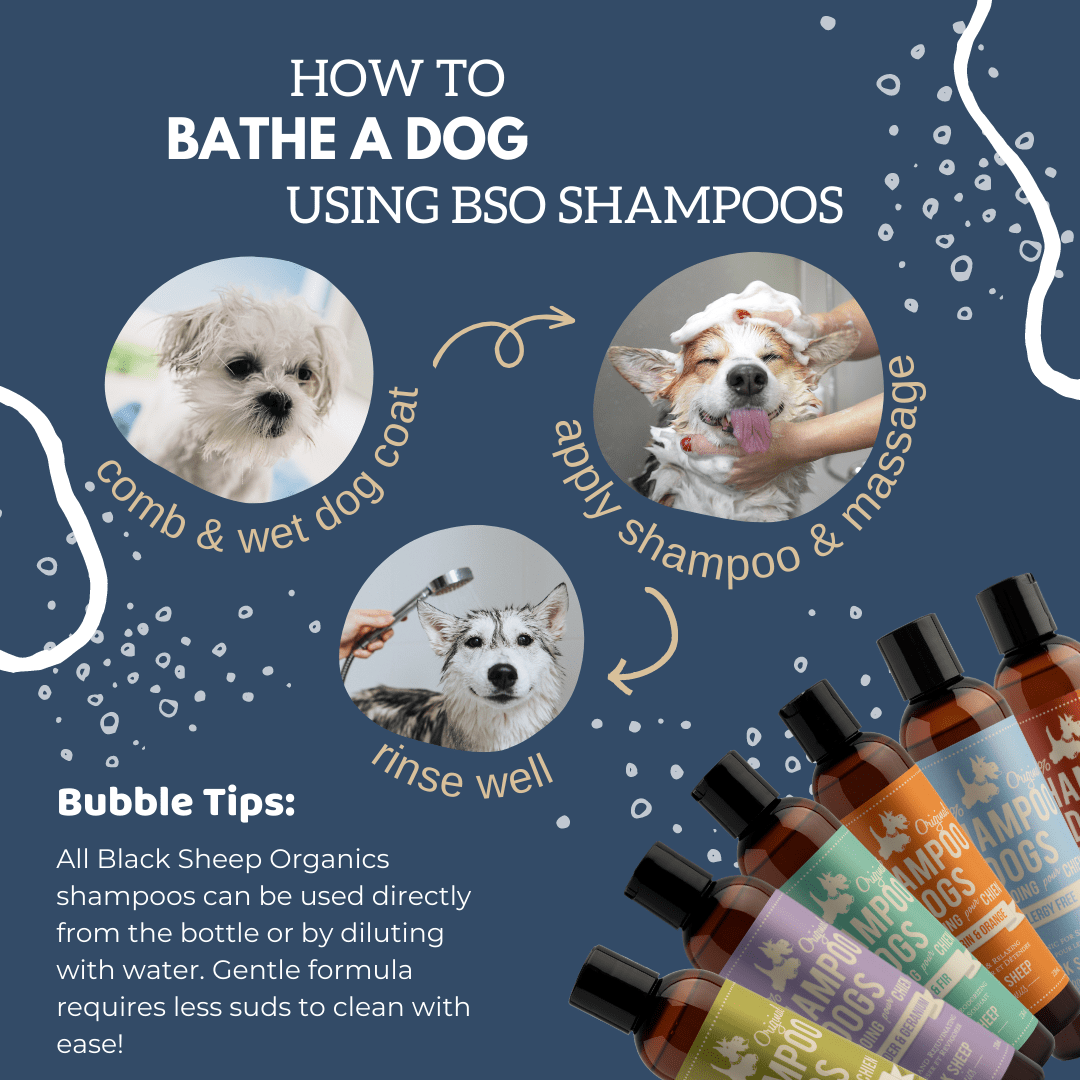 Natural Dog Shampoo - Lemongrass & Mint