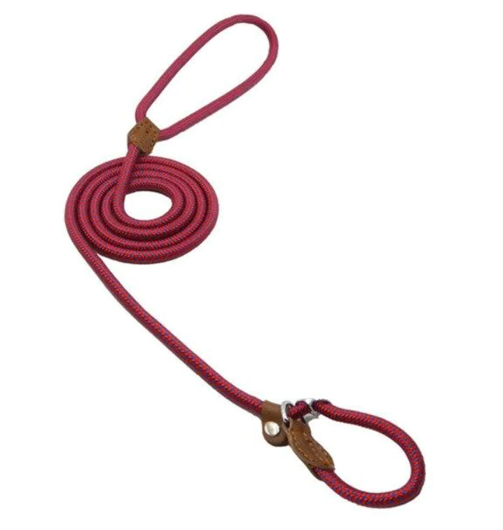Collar and Leash Set