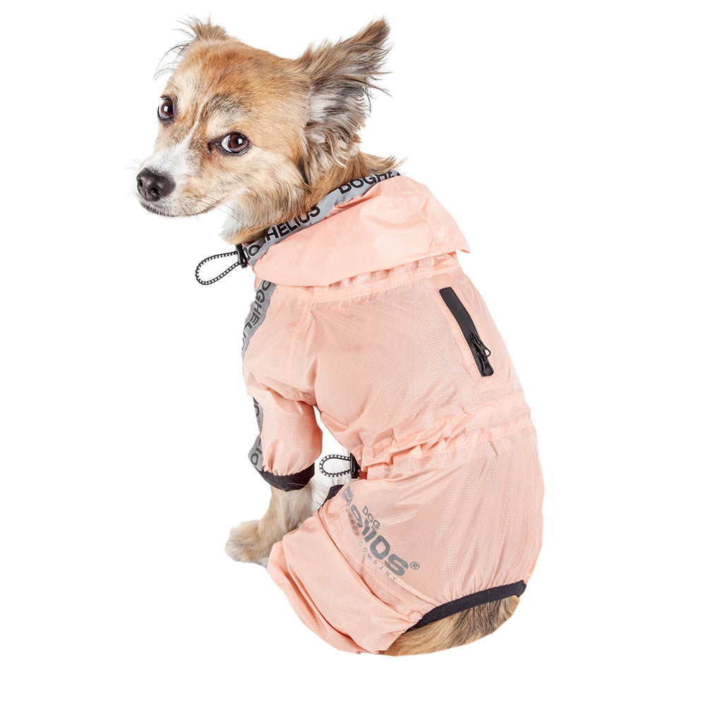Small dog wearing a pink rain jacket on a white background