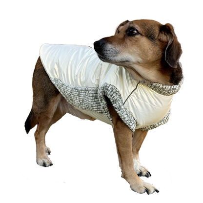 Pearl Dog Coat