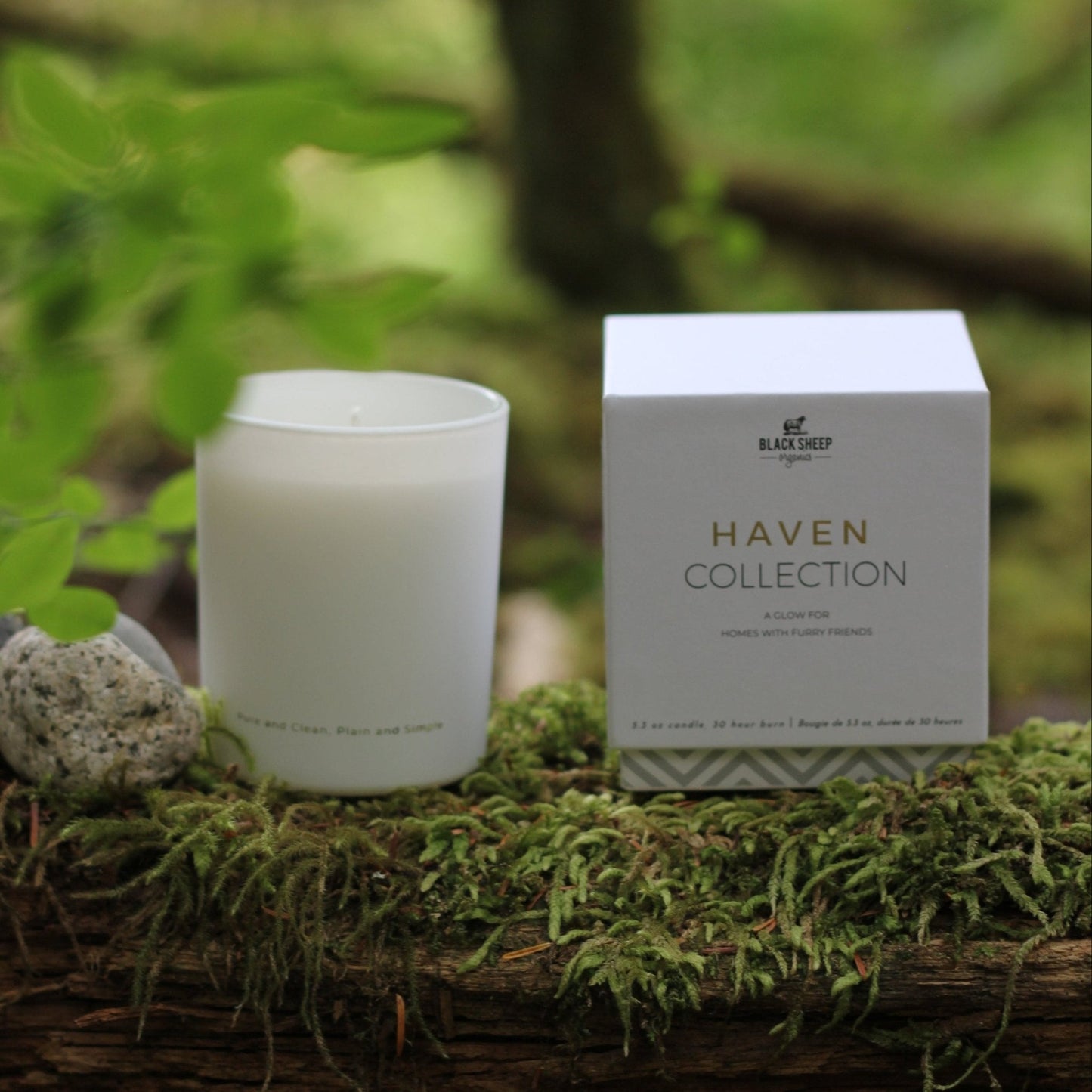 PET SAFE CANDLE - PEACH PARFAIT