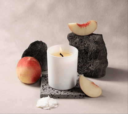 PET SAFE CANDLE - PEACH PARFAIT