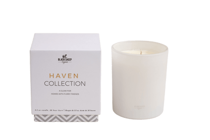 PET SAFE CANDLE - PEACH PARFAIT