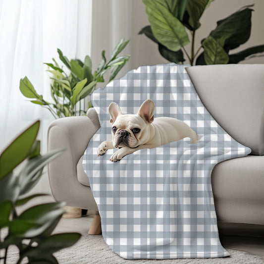 Dog lying on a checkered blanket on a couch with plants in the background