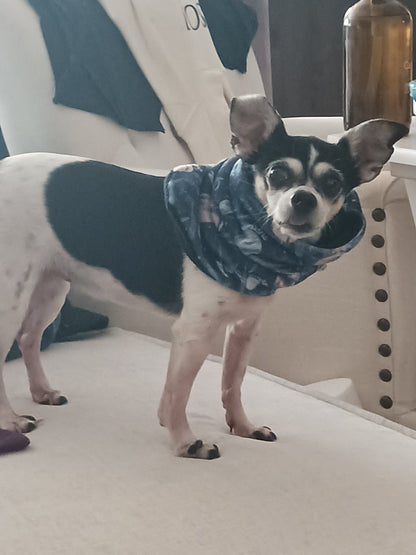 Small dog wearing a bandana standing on a white surface