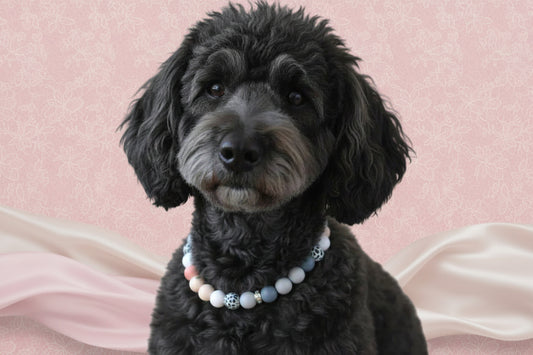 pet Necklace with colorful beads on a textured surface