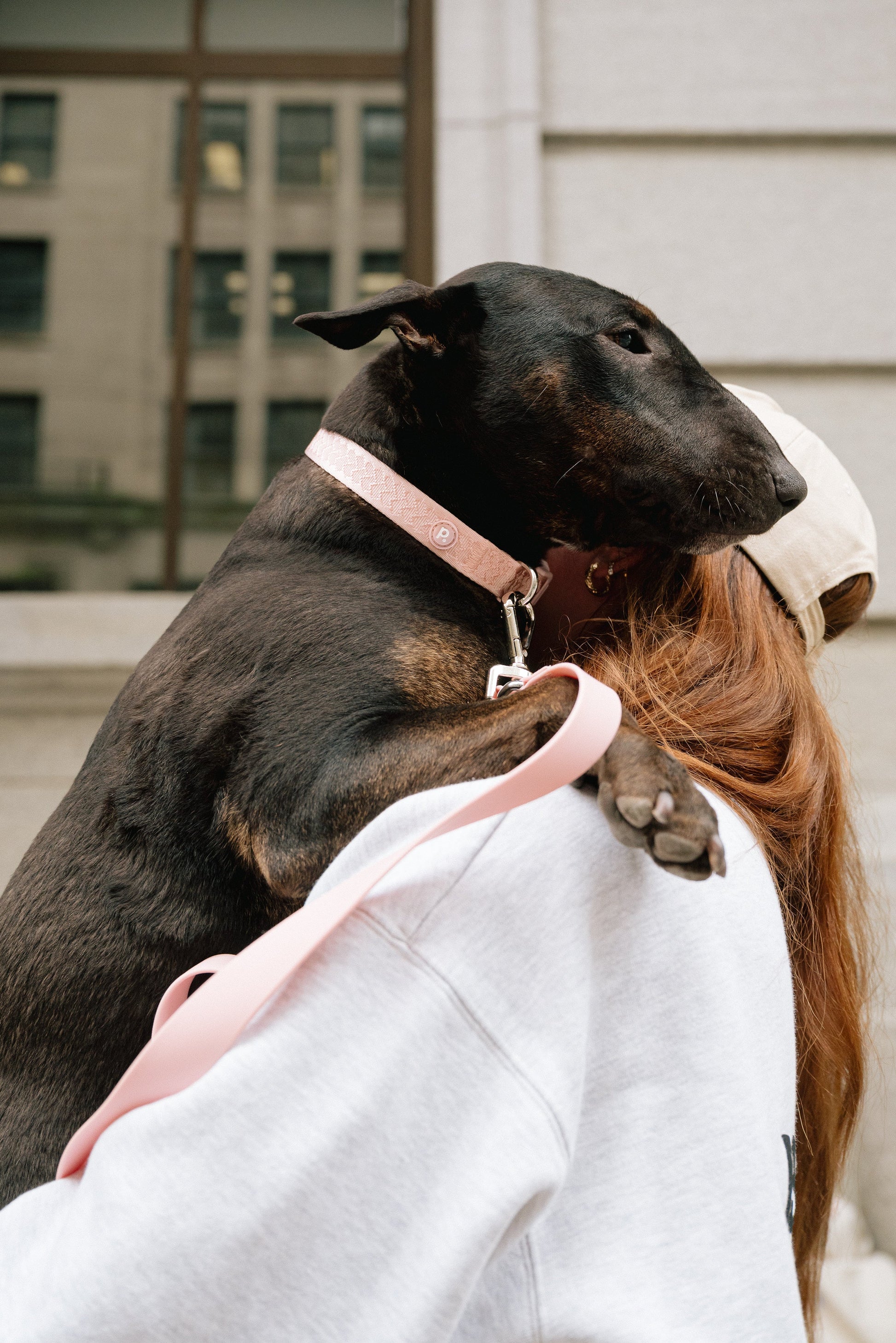 Person wearing a white hoodie with a dog on their shoulder in an urban setting