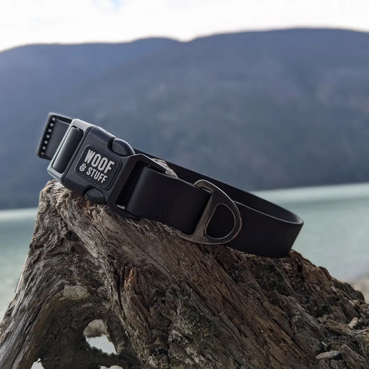 Raven Waterproof Collar