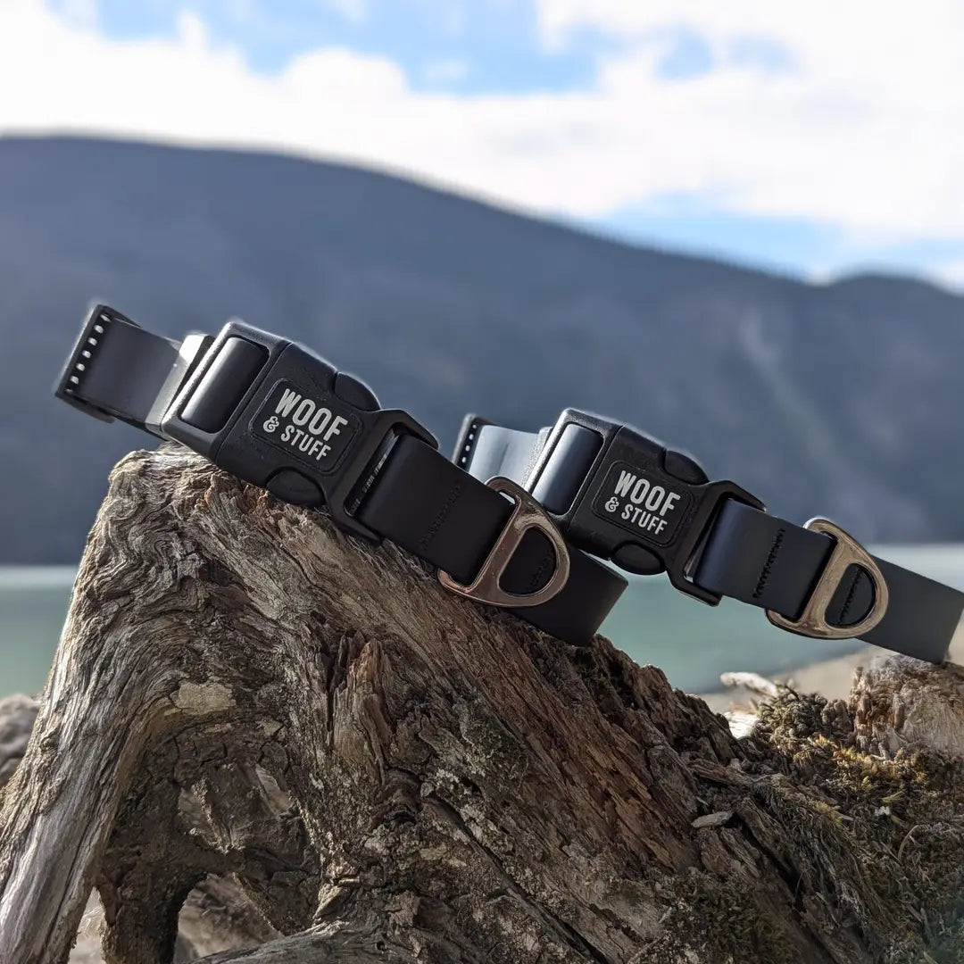 Raven Waterproof Collar