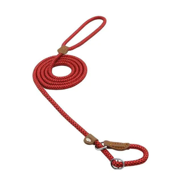 Red dog leash with brown leather loops on a white background