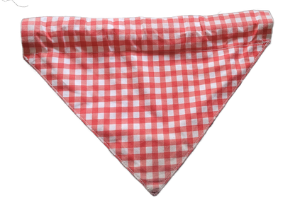 picture of a red and white checked pet bandana with a clear background