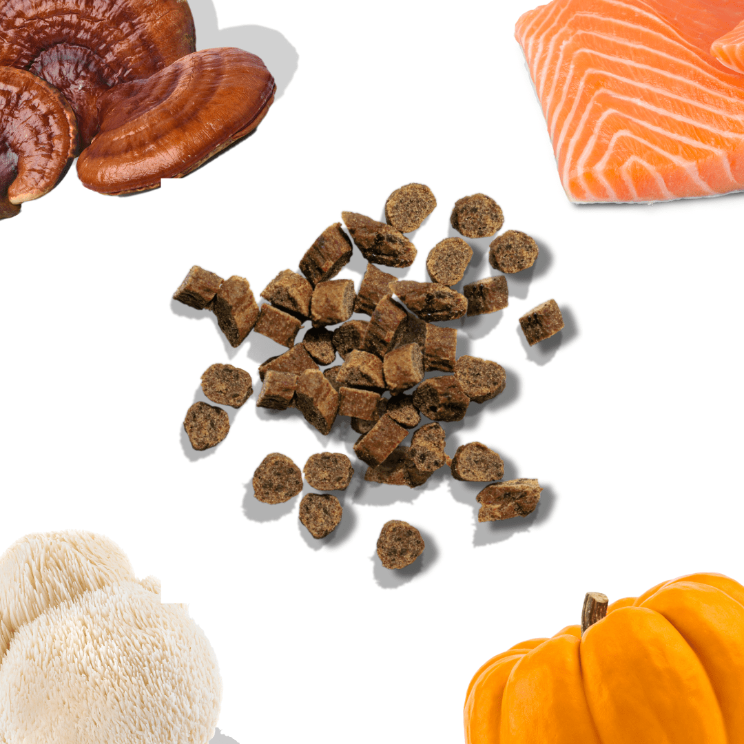Salmon Mini Training Treats