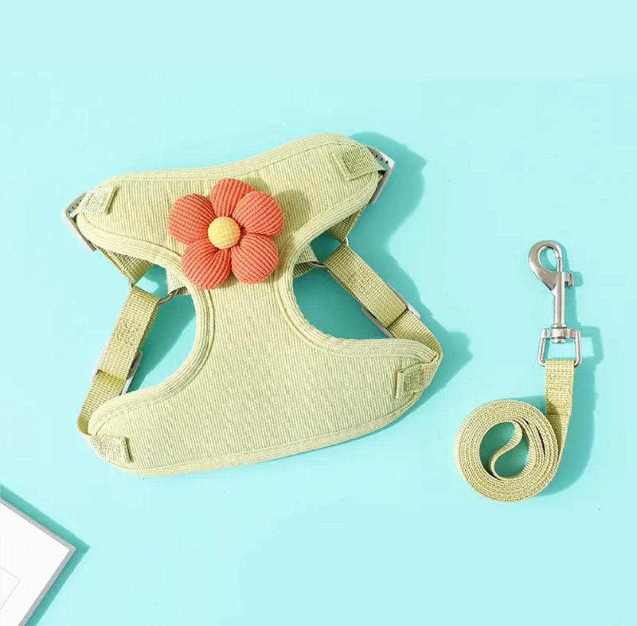 Dog harness with a flower and leash on a light blue background