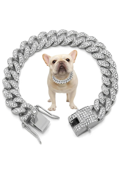 Silver chain collar with a dog wearing it on a white background